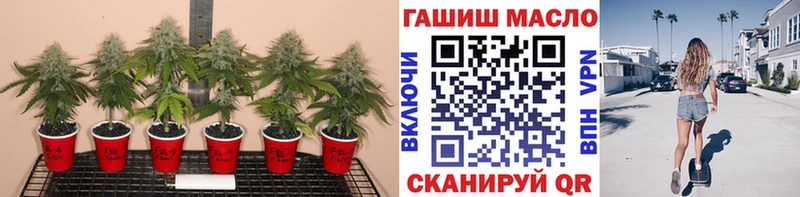 наркошоп Златоуст mega маркетплейс ТГК жижа
