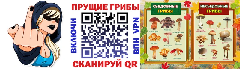 Галлюциногенные грибы прущие грибы  Златоуст 